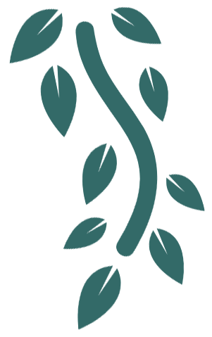 branch